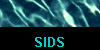  SIDS 